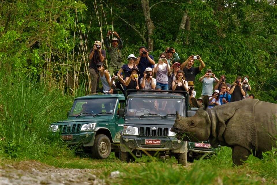 Jungle Safari in Chitwan