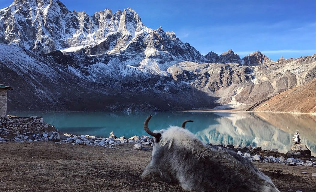 Gokyo Peak