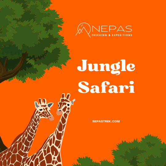 https://nepastrek.com/xardodry/2024/08/jungle-safari.png